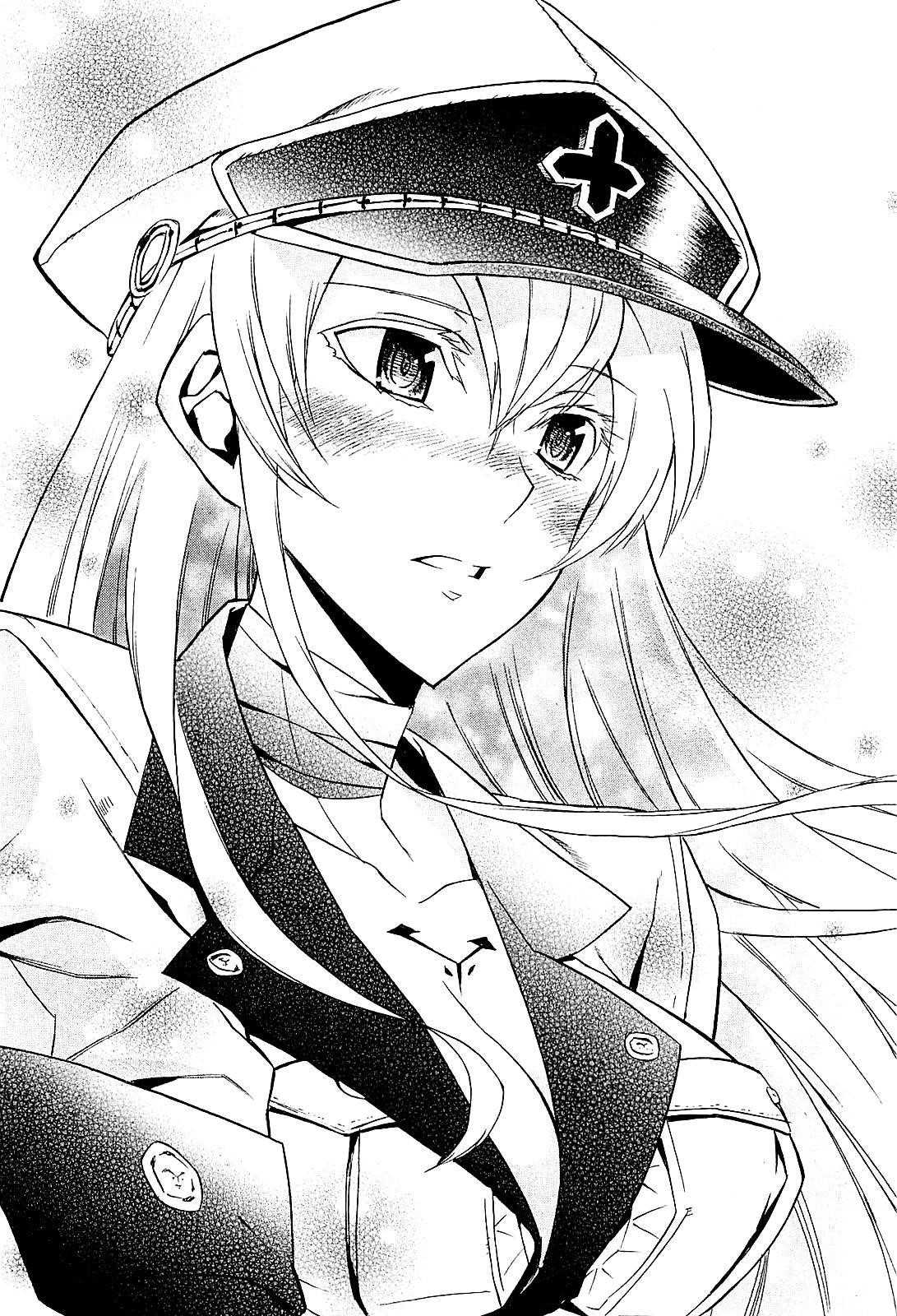 Read Akame Ga Kill! EN Manga Online