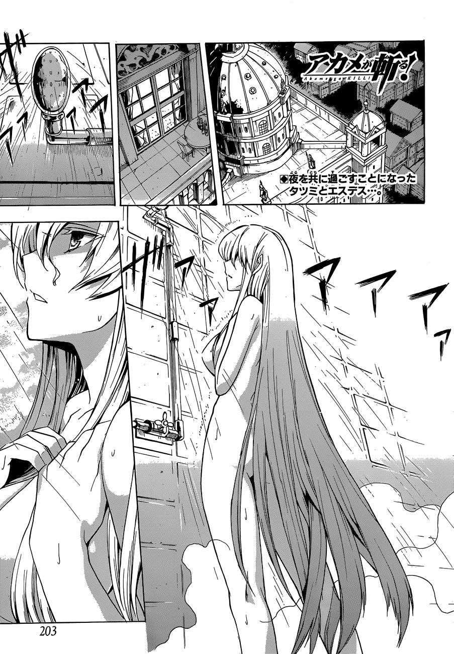 Read Akame Ga Kill! EN Manga Online