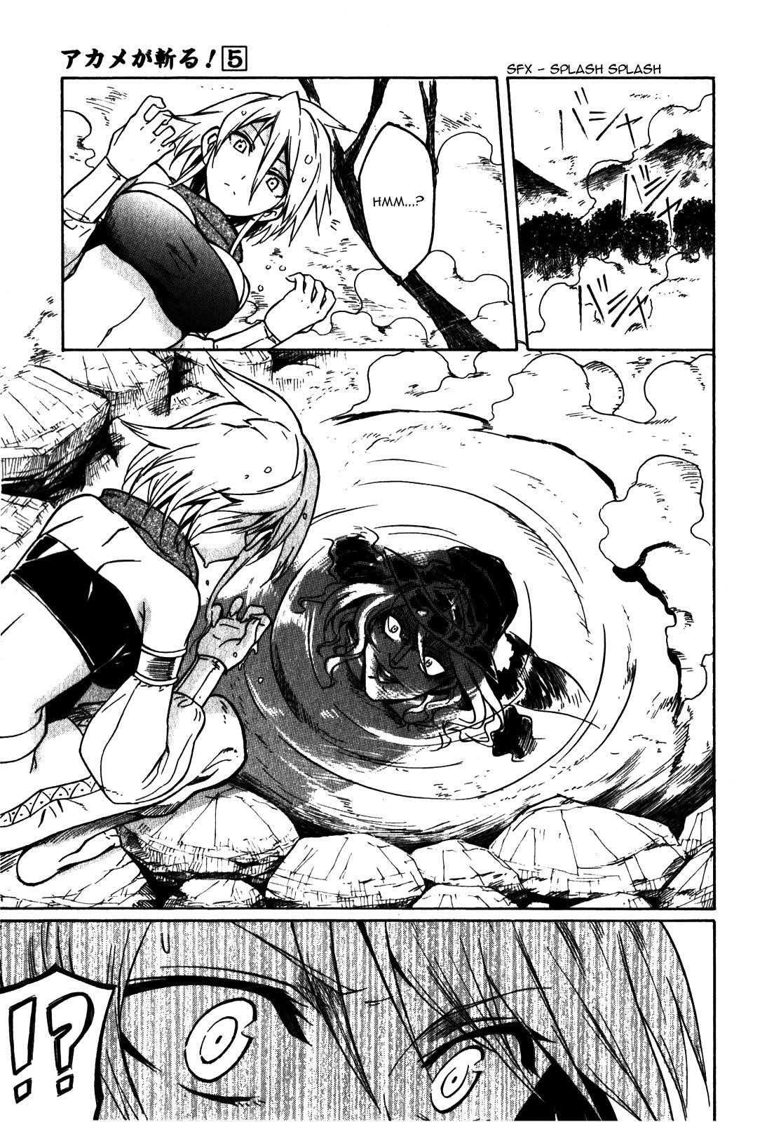 Read Akame Ga Kill! EN Manga Online