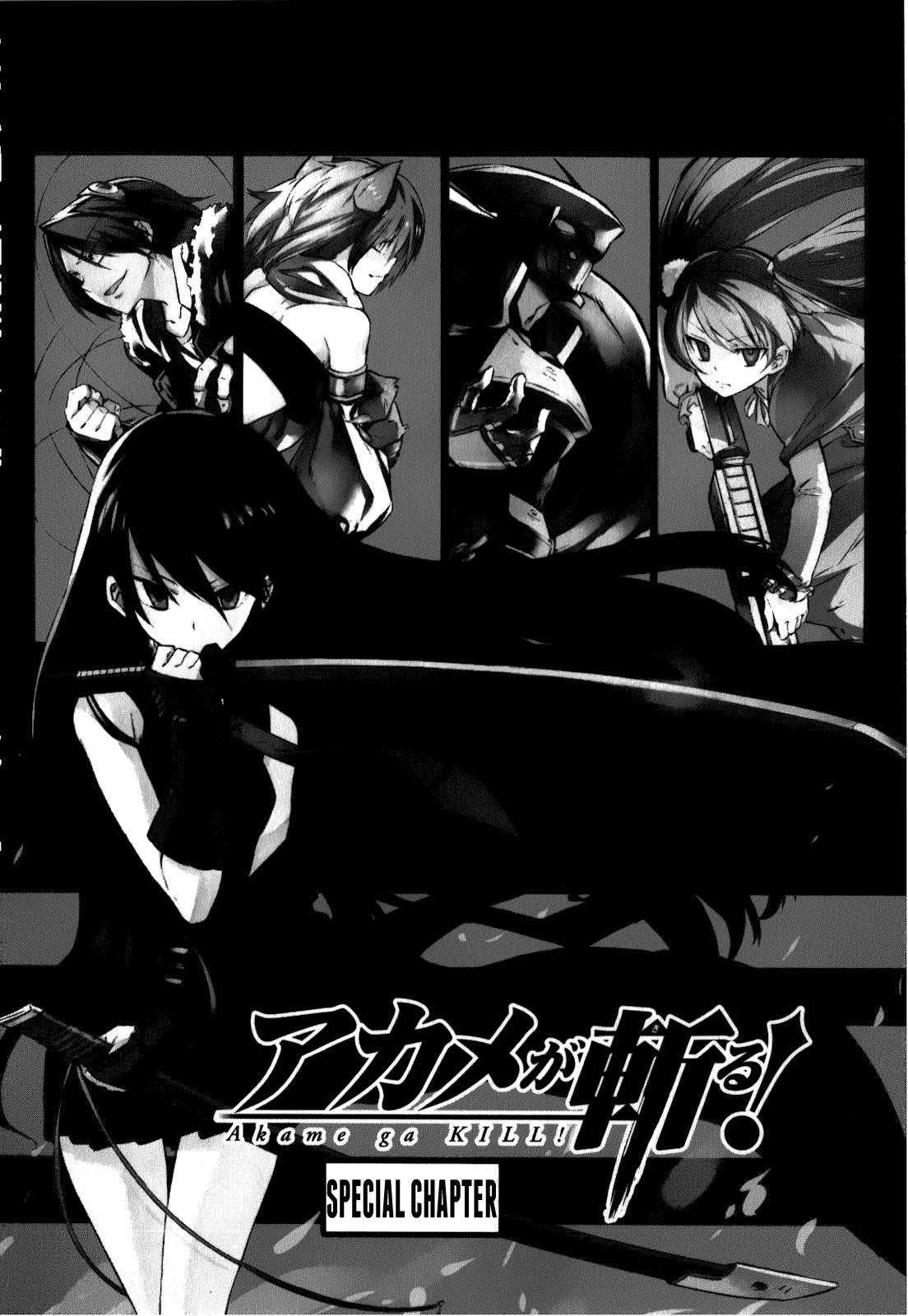 Read Akame Ga Kill! EN Manga Online