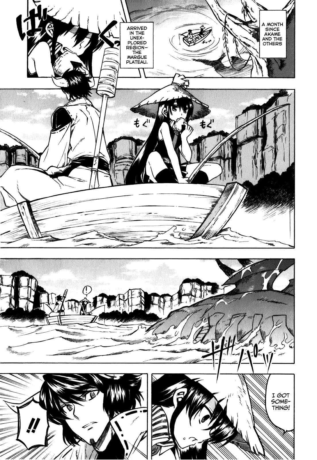 Read Akame Ga Kill! EN Manga Online