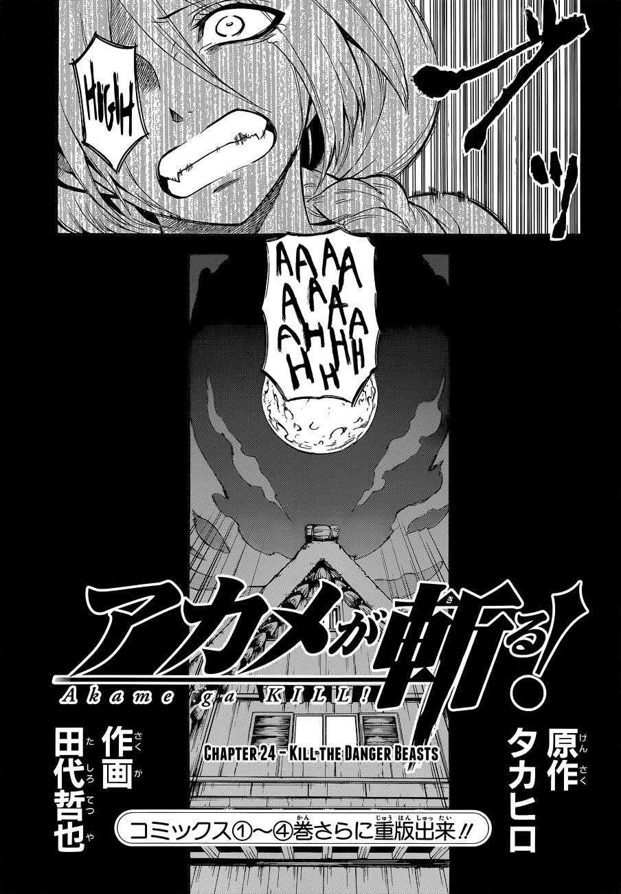 Read Akame Ga Kill! EN Manga Online