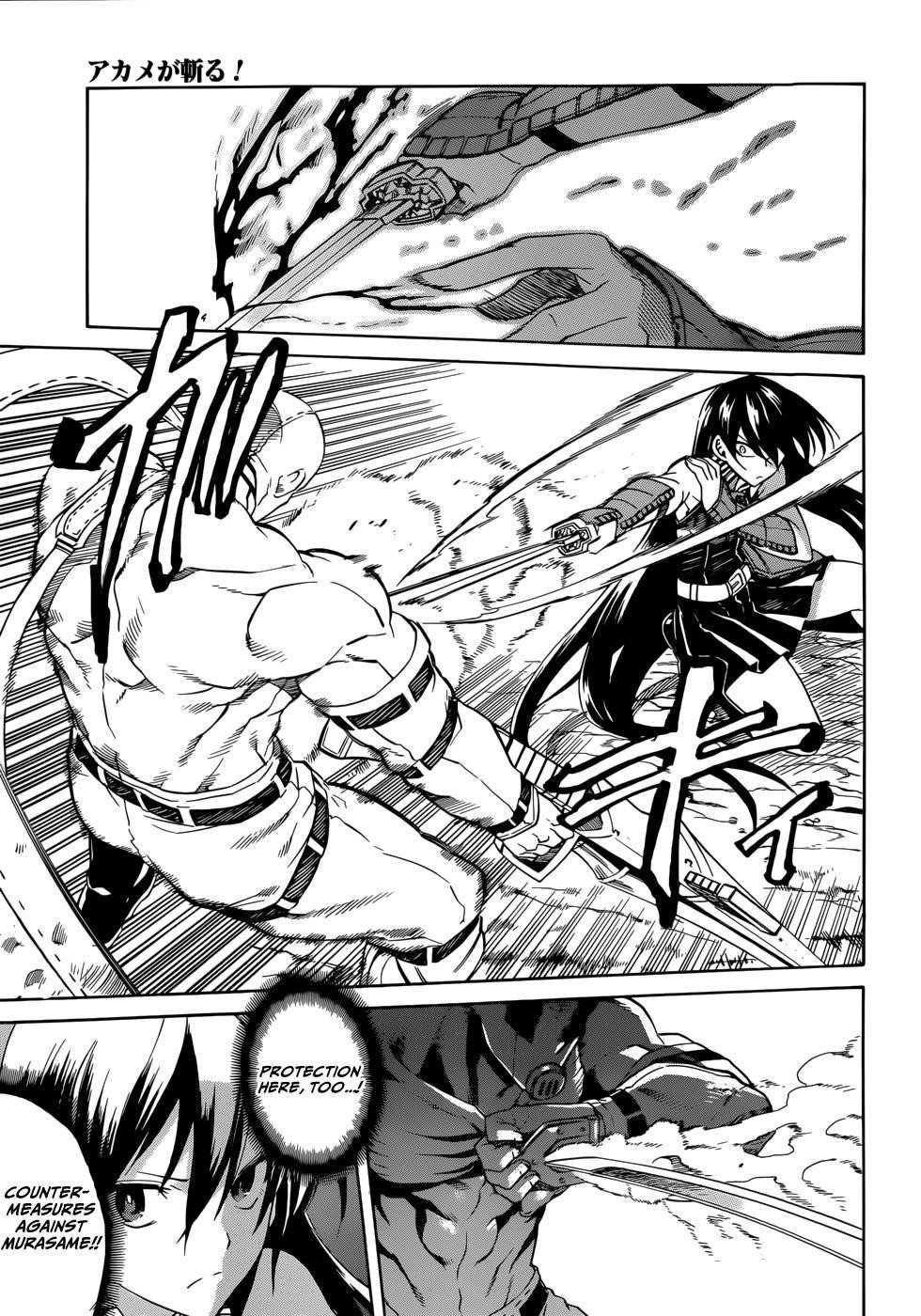 Read Akame Ga Kill! EN Manga Online