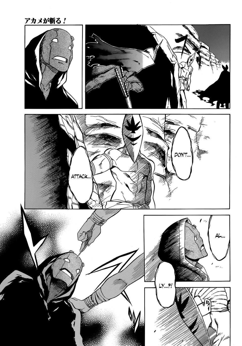Read Akame Ga Kill! EN Manga Online