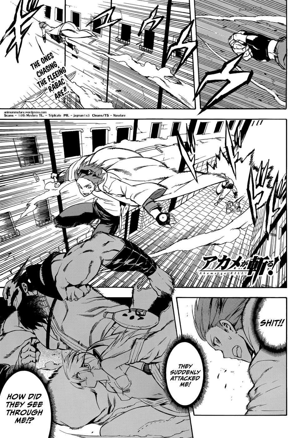 Read Akame Ga Kill! EN Manga Online