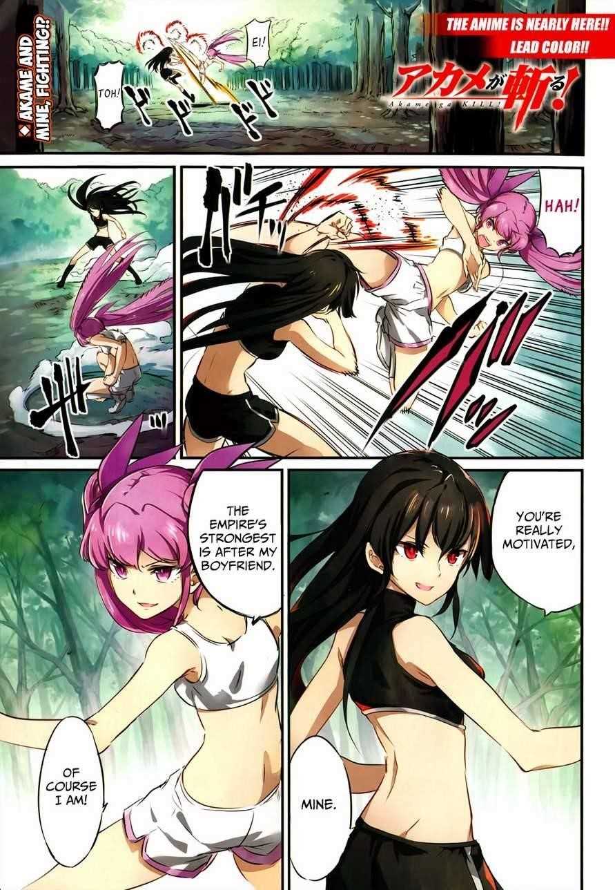 Read Akame Ga Kill! EN Manga Online