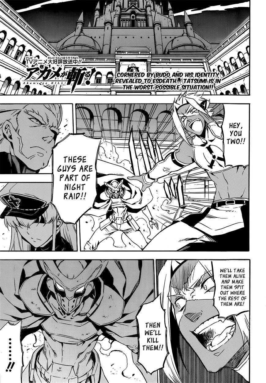 Read Akame Ga Kill! EN Manga Online