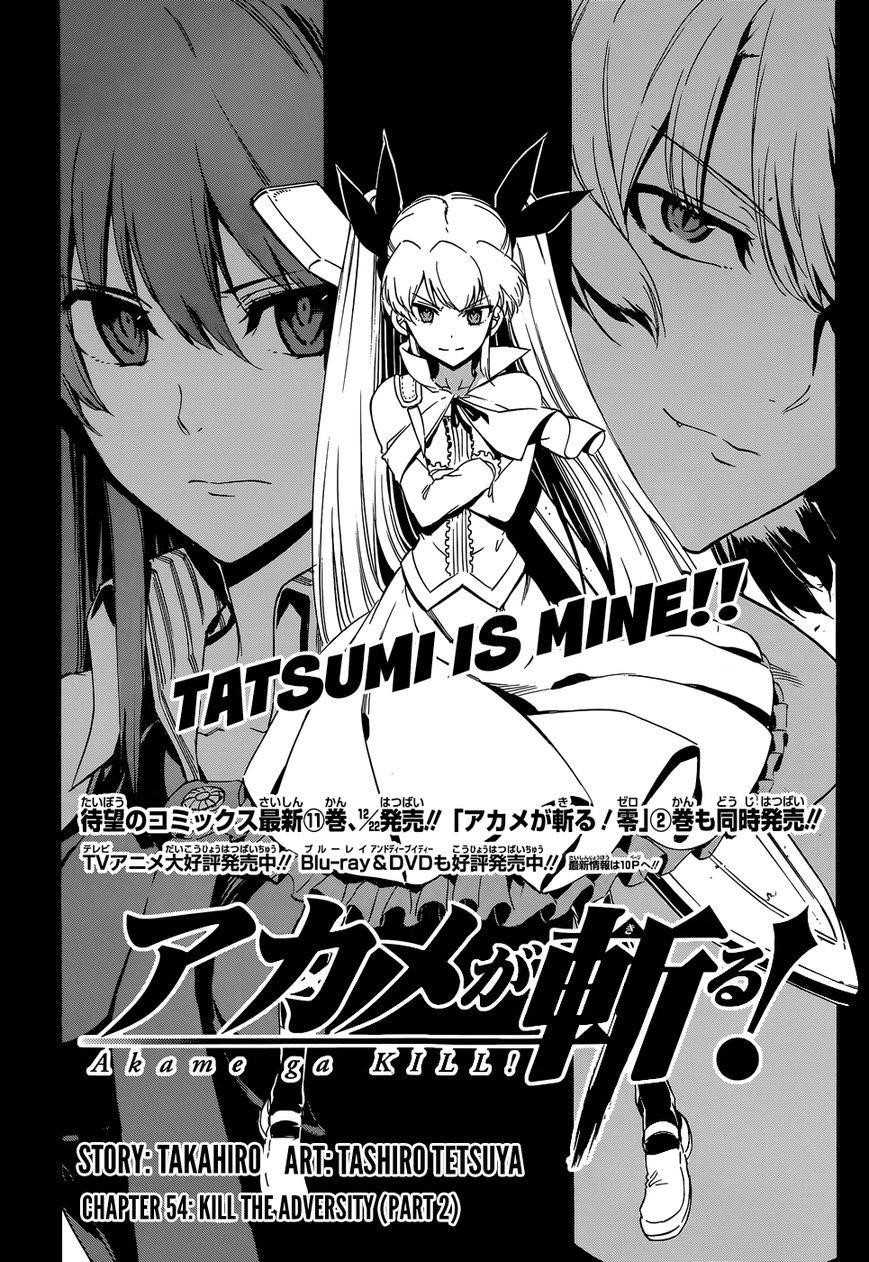 Read Akame Ga Kill! EN Manga Online