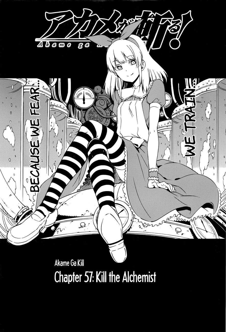 Read Akame Ga Kill! EN Manga Online