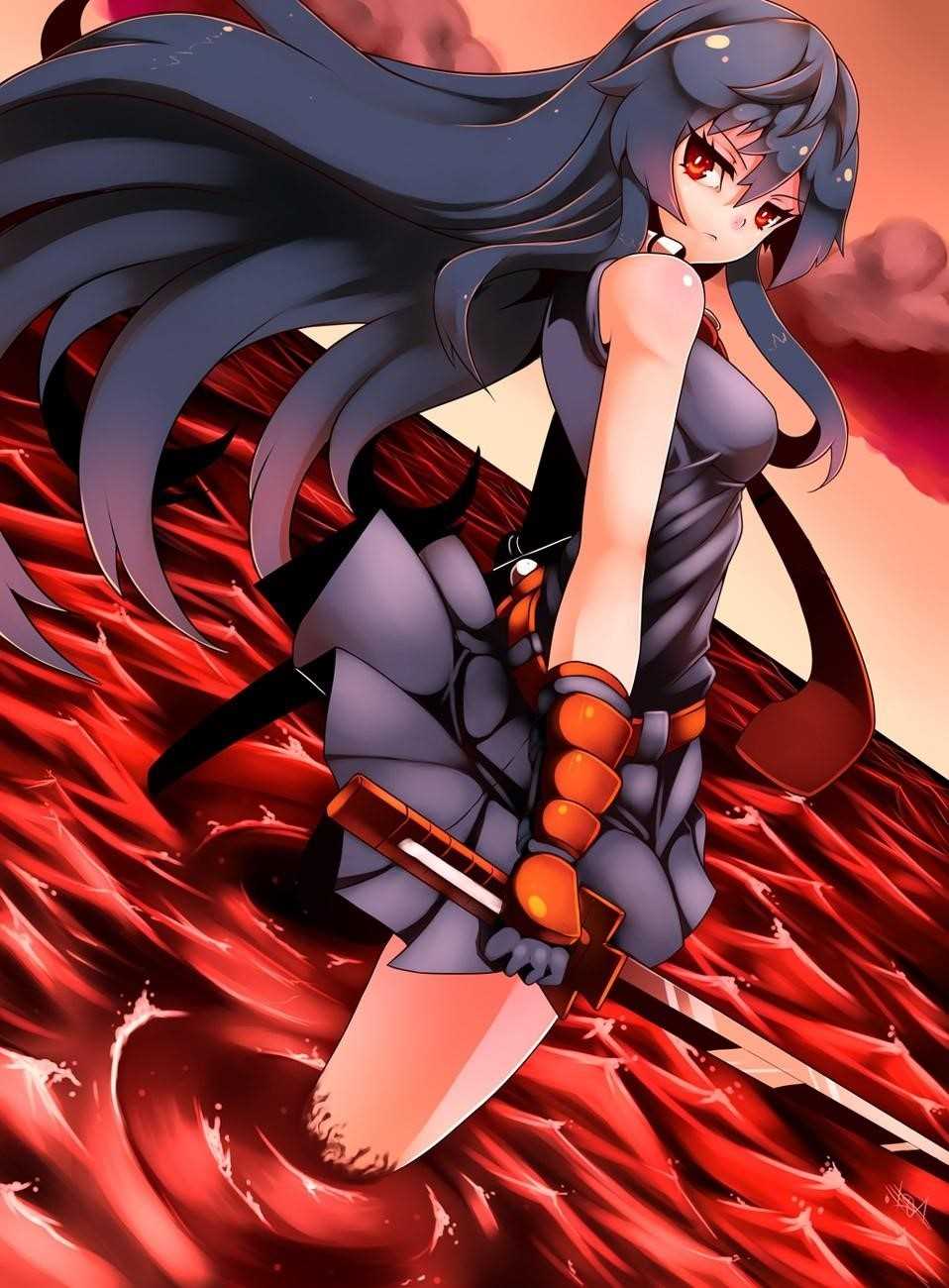 Read Akame Ga Kill! EN Manga Online