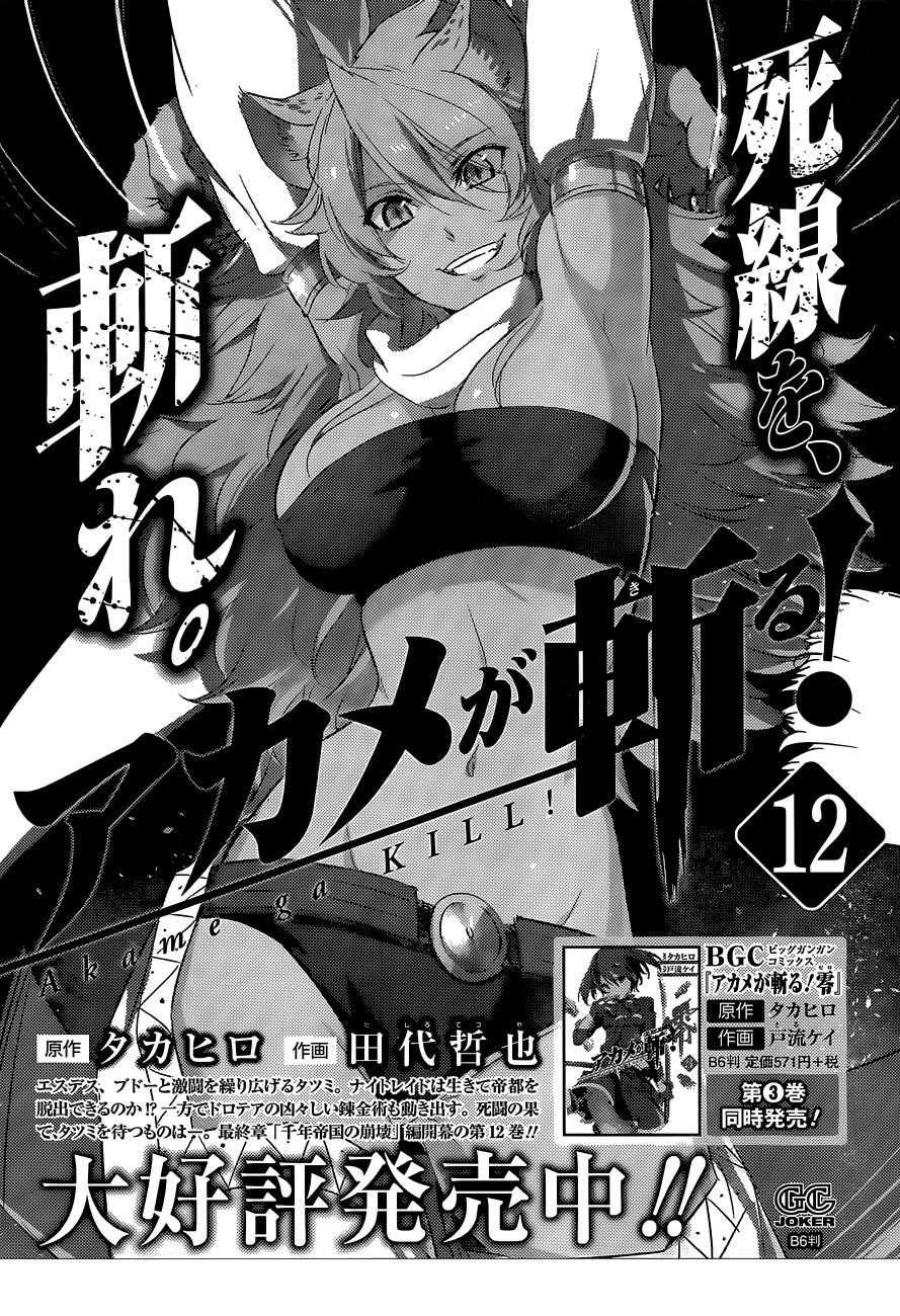 Read Akame Ga Kill! EN Manga Online
