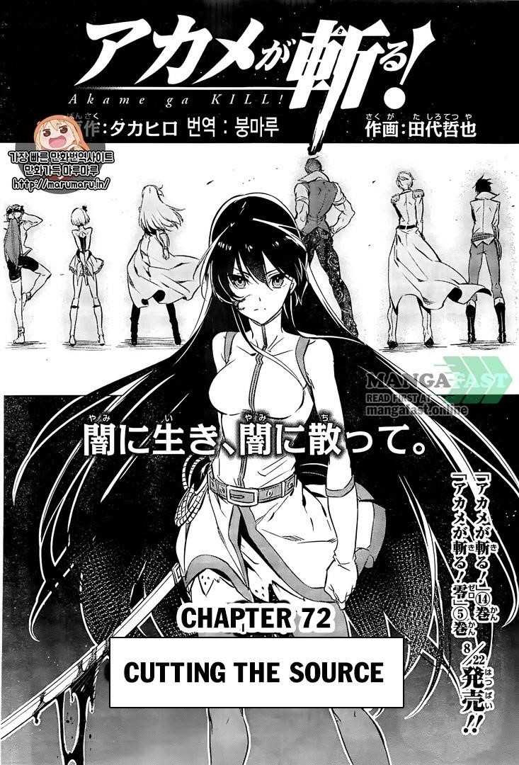 Read Akame Ga Kill! EN Manga Online