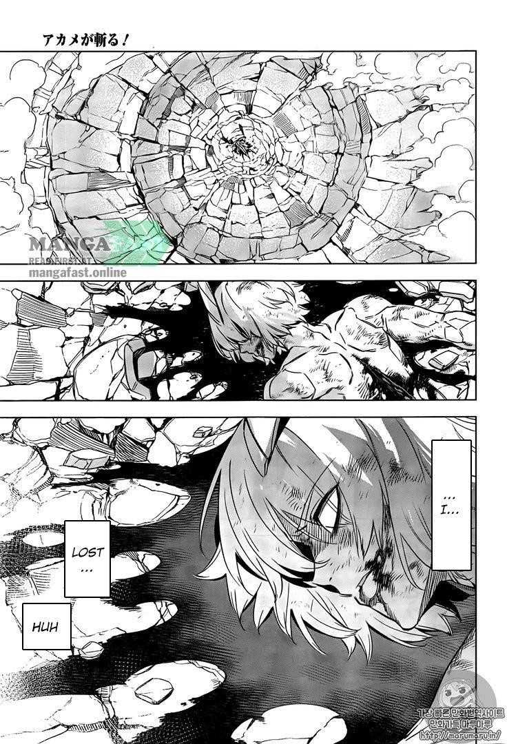 Read Akame Ga Kill! EN Manga Online