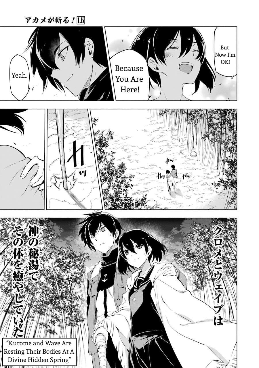 Read Akame Ga Kill! EN Manga Online