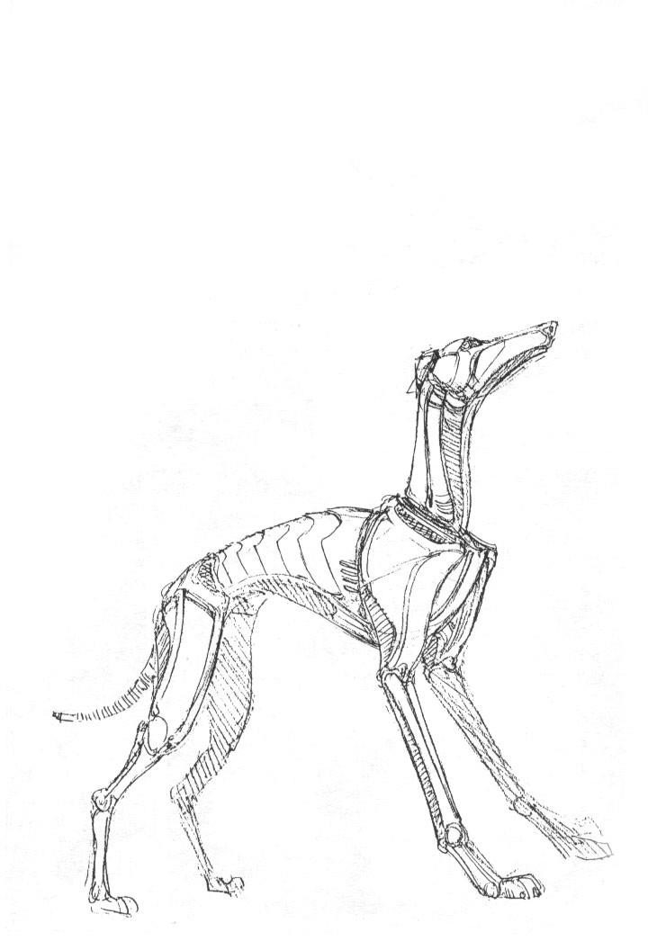 Read Battle Angel Alita EN Manga Online