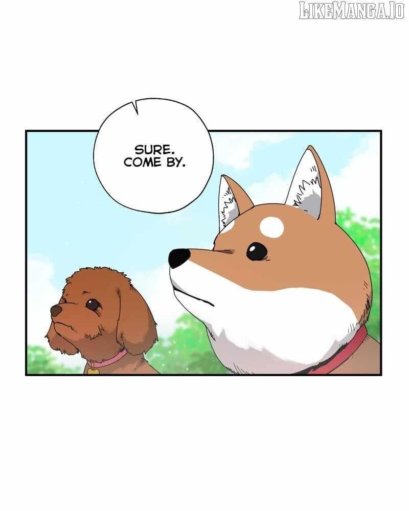 Read BlackSun EN Manga Online