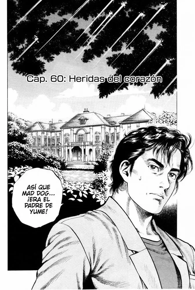 Read Angel Heart ES Manga Online