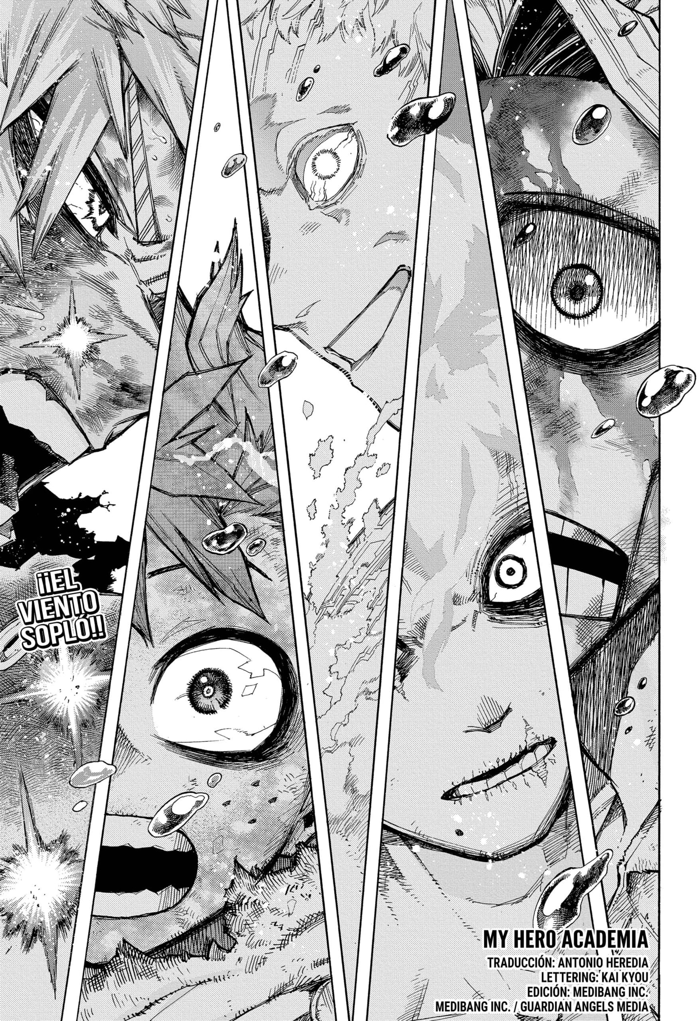 Read Boku no Hero Academia ES Manga Online