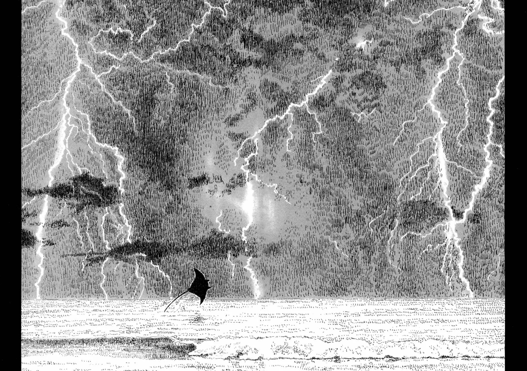 Read Children of the Sea ES Manga Online