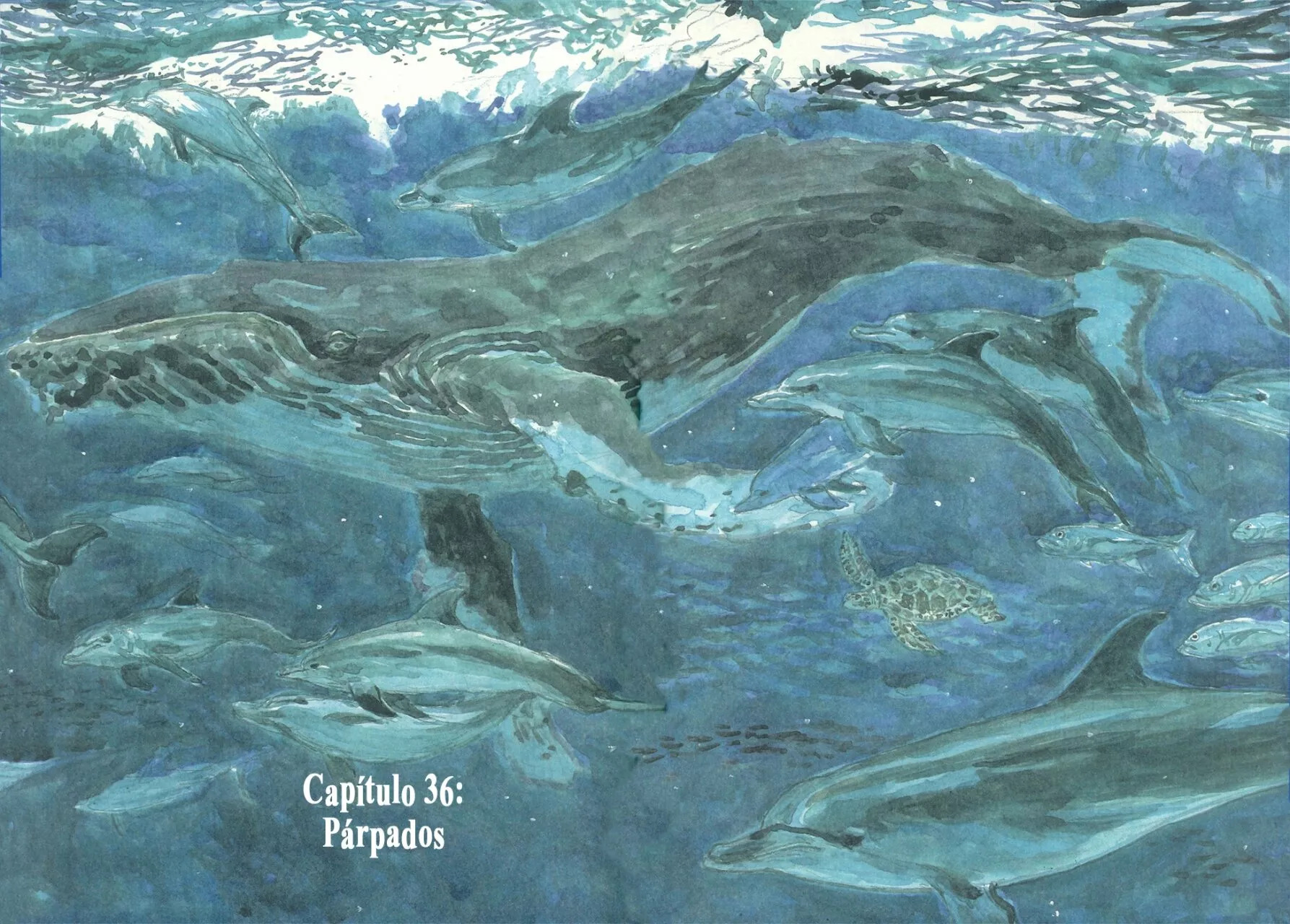 Read Children of the Sea ES Manga Online