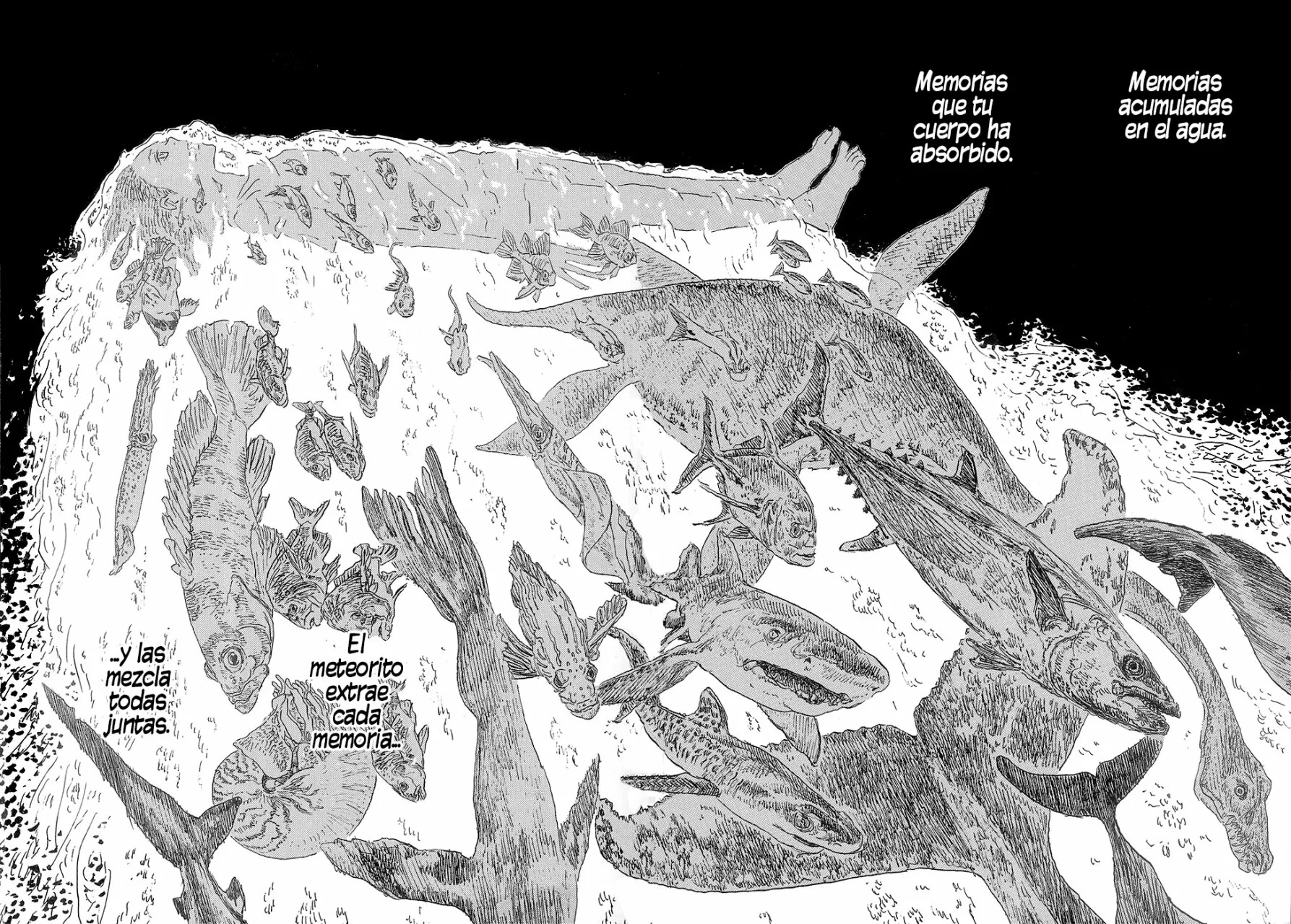 Read Children of the Sea ES Manga Online