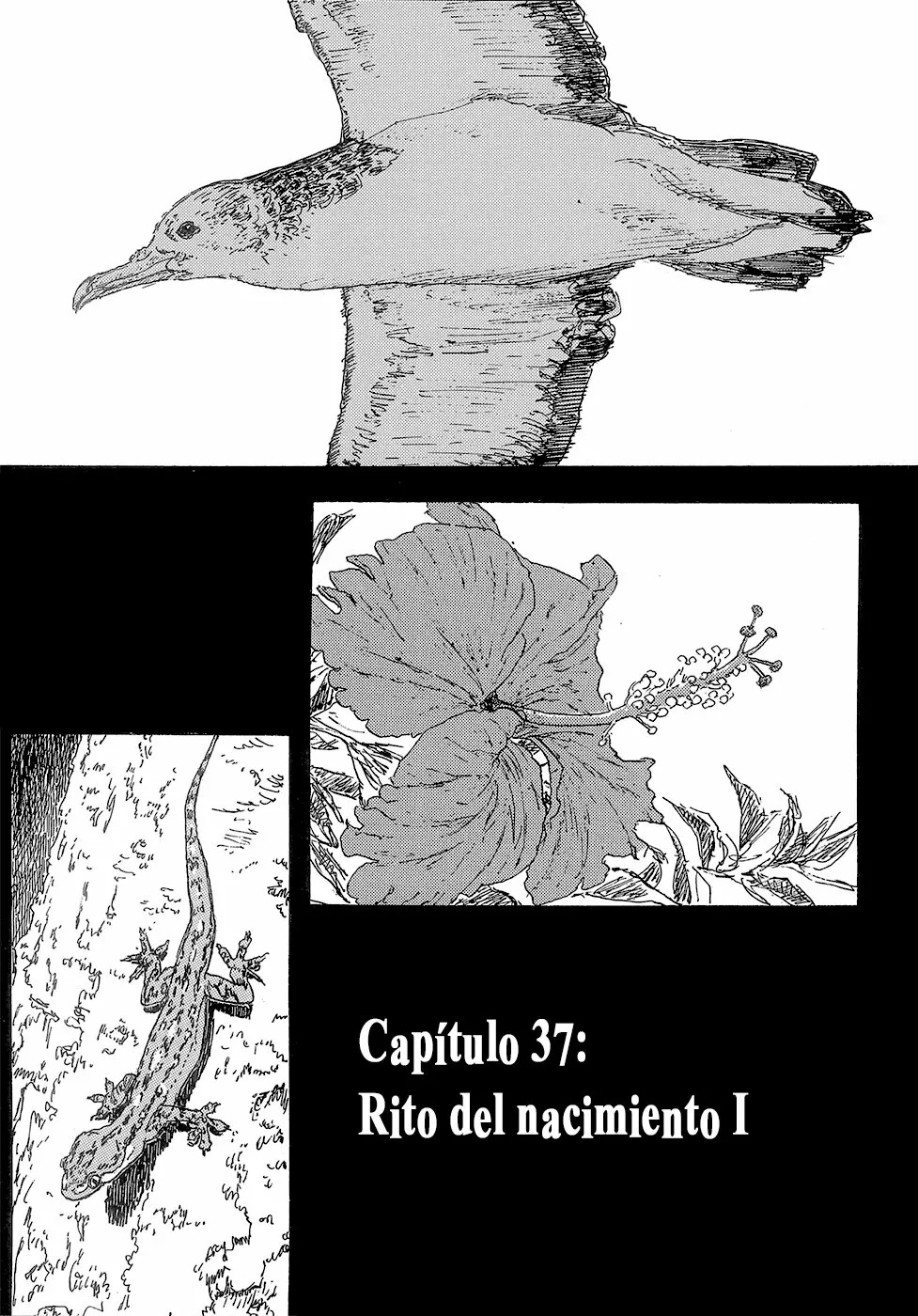 Read Children of the Sea ES Manga Online