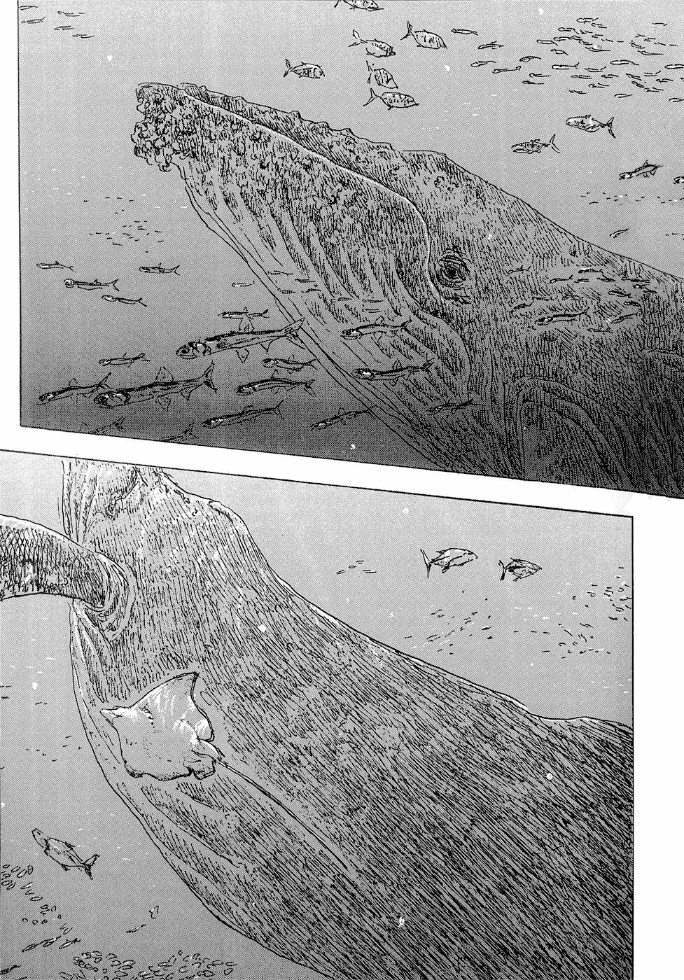 Read Children of the Sea ES Manga Online