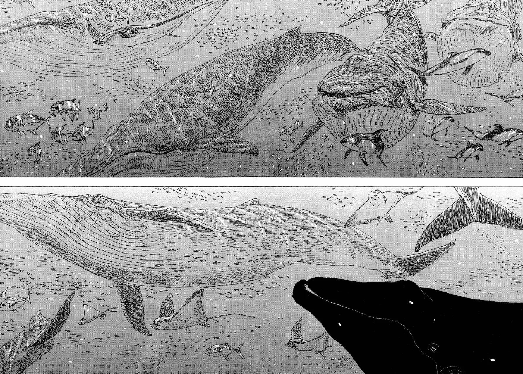 Read Children of the Sea ES Manga Online