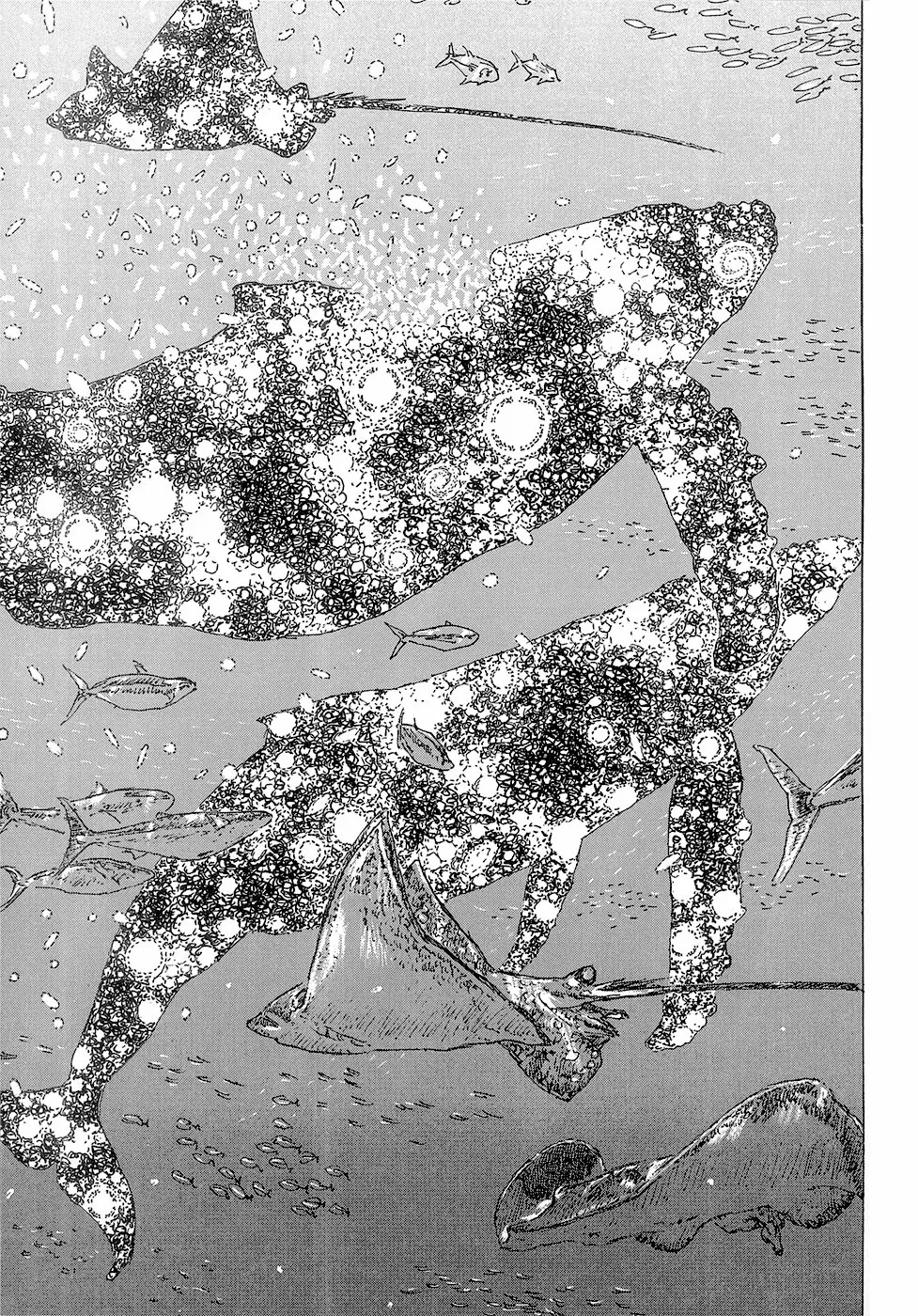 Read Children of the Sea ES Manga Online