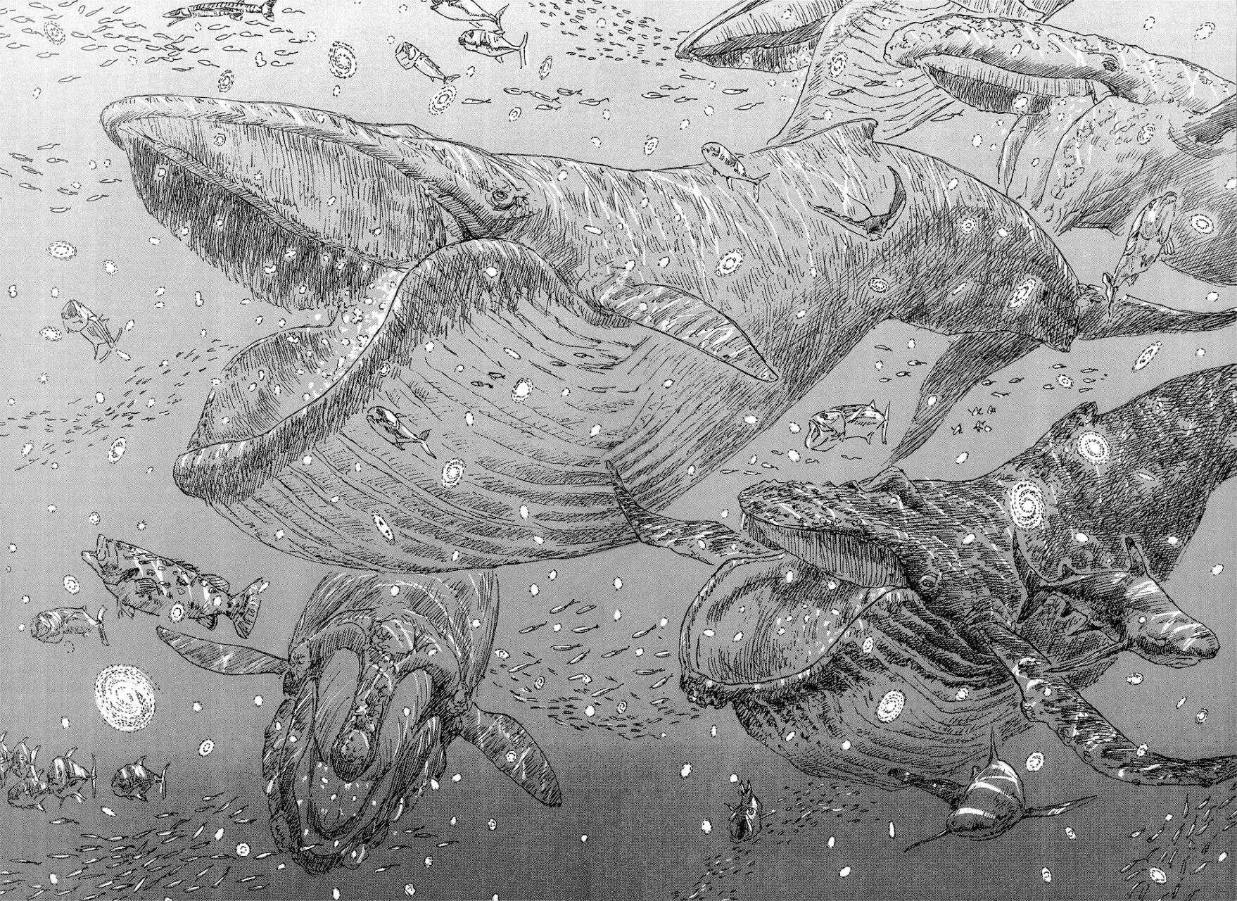 Read Children of the Sea ES Manga Online