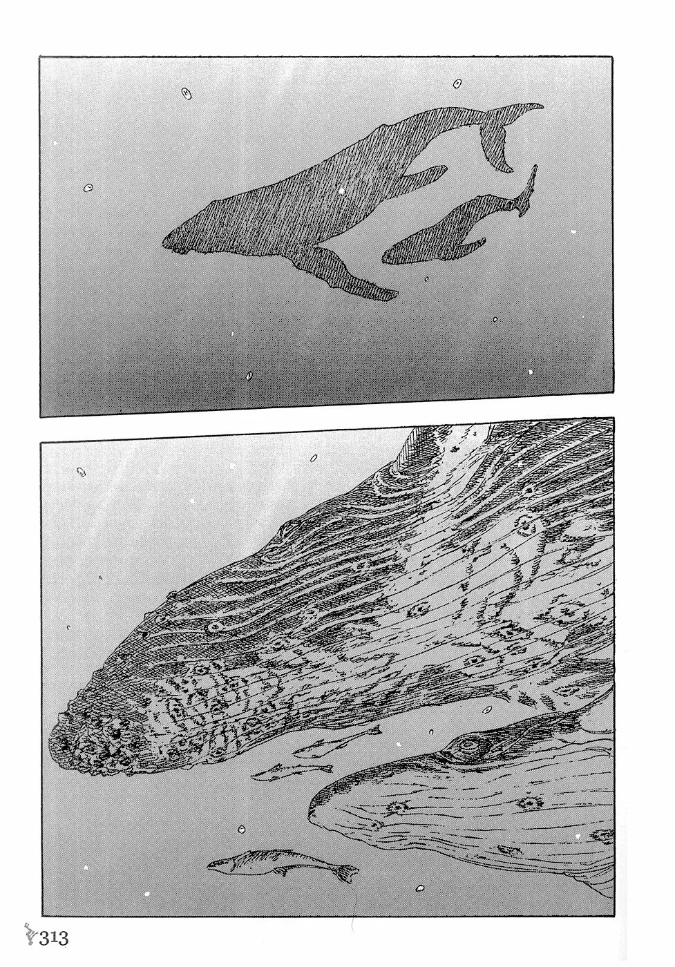 Read Children of the Sea ES Manga Online