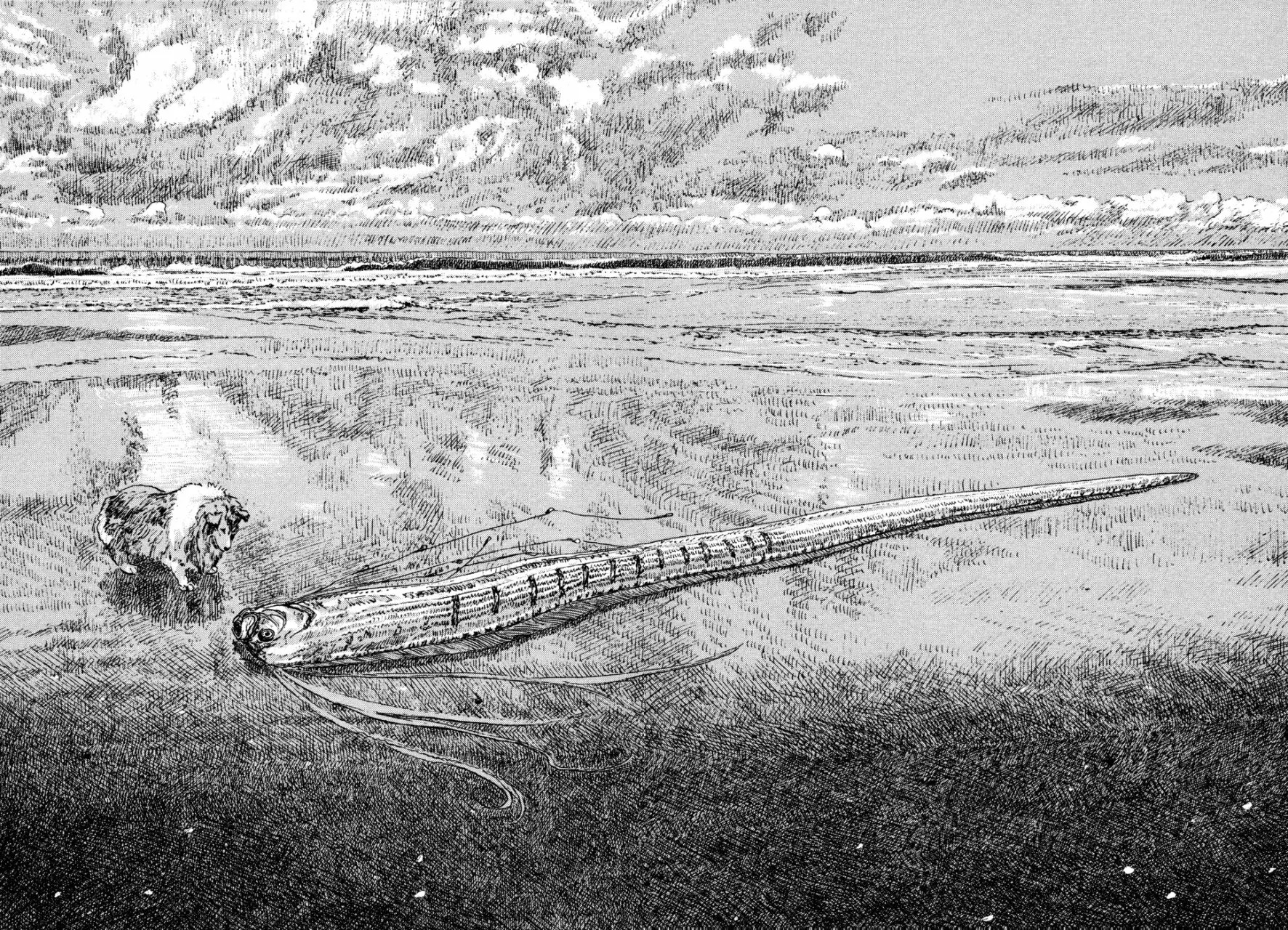 Read Children of the Sea ES Manga Online