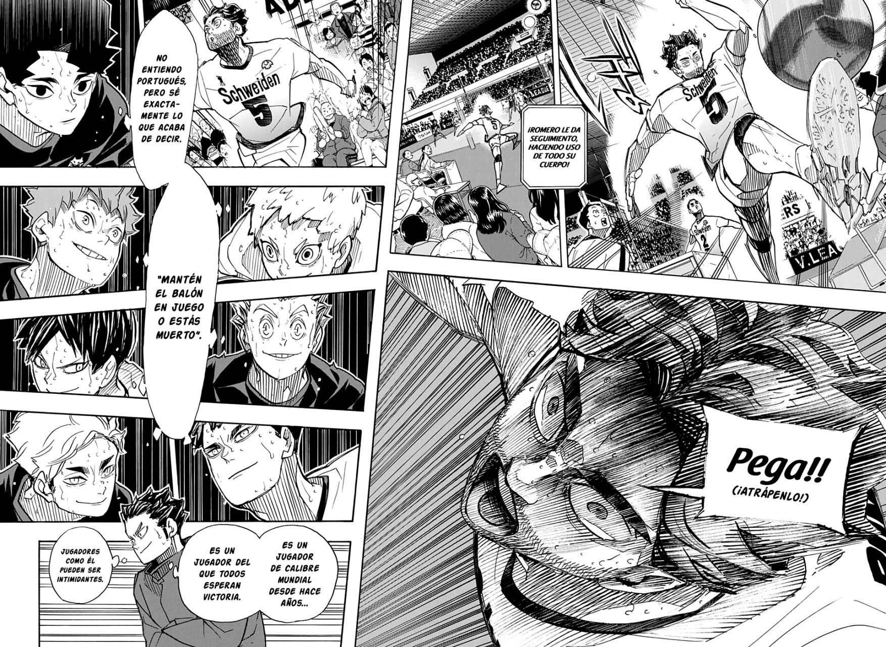 Read Haikyu!! ES Manga Online