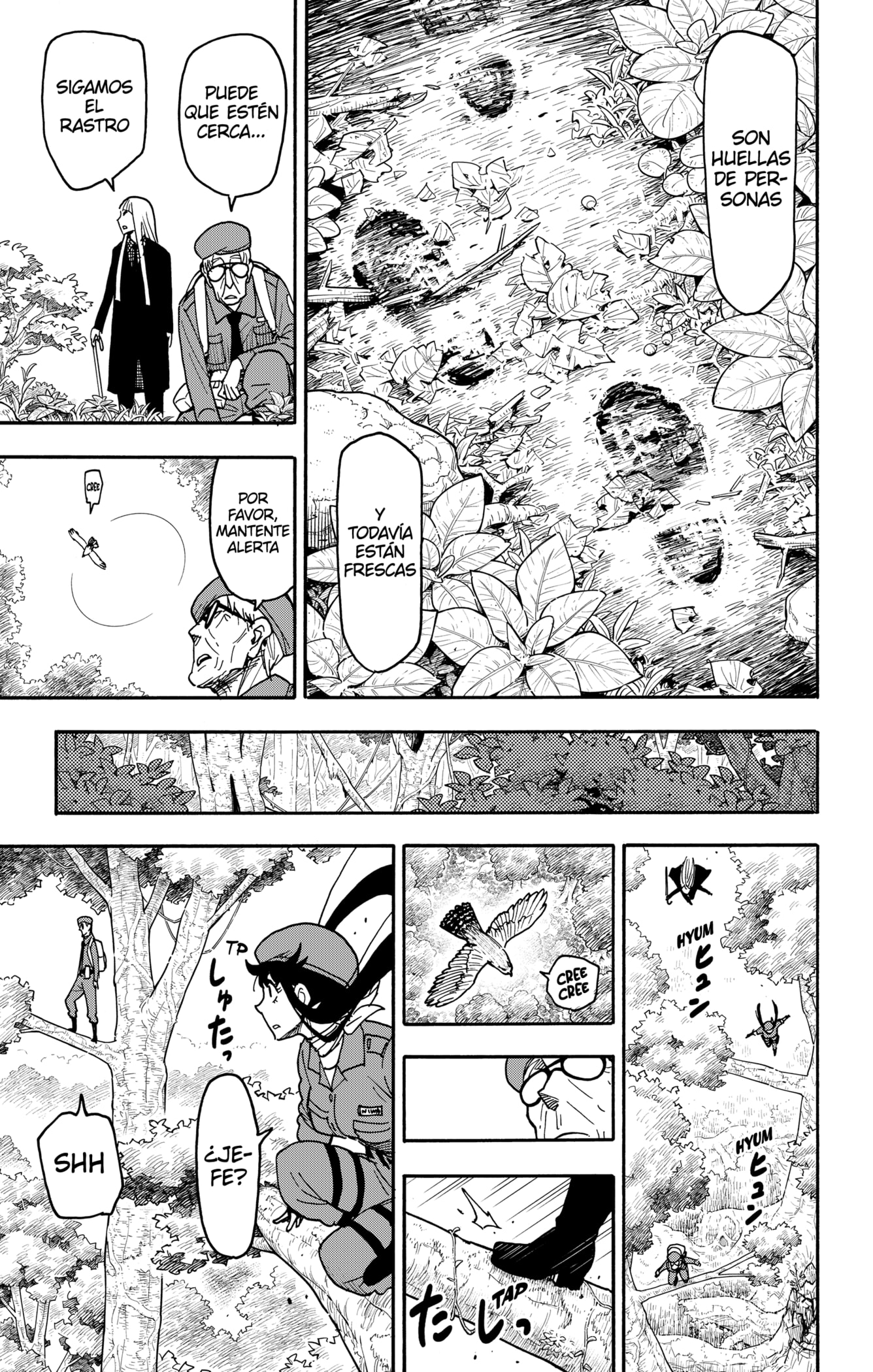 Read SPY×FAMILY ES Manga Online