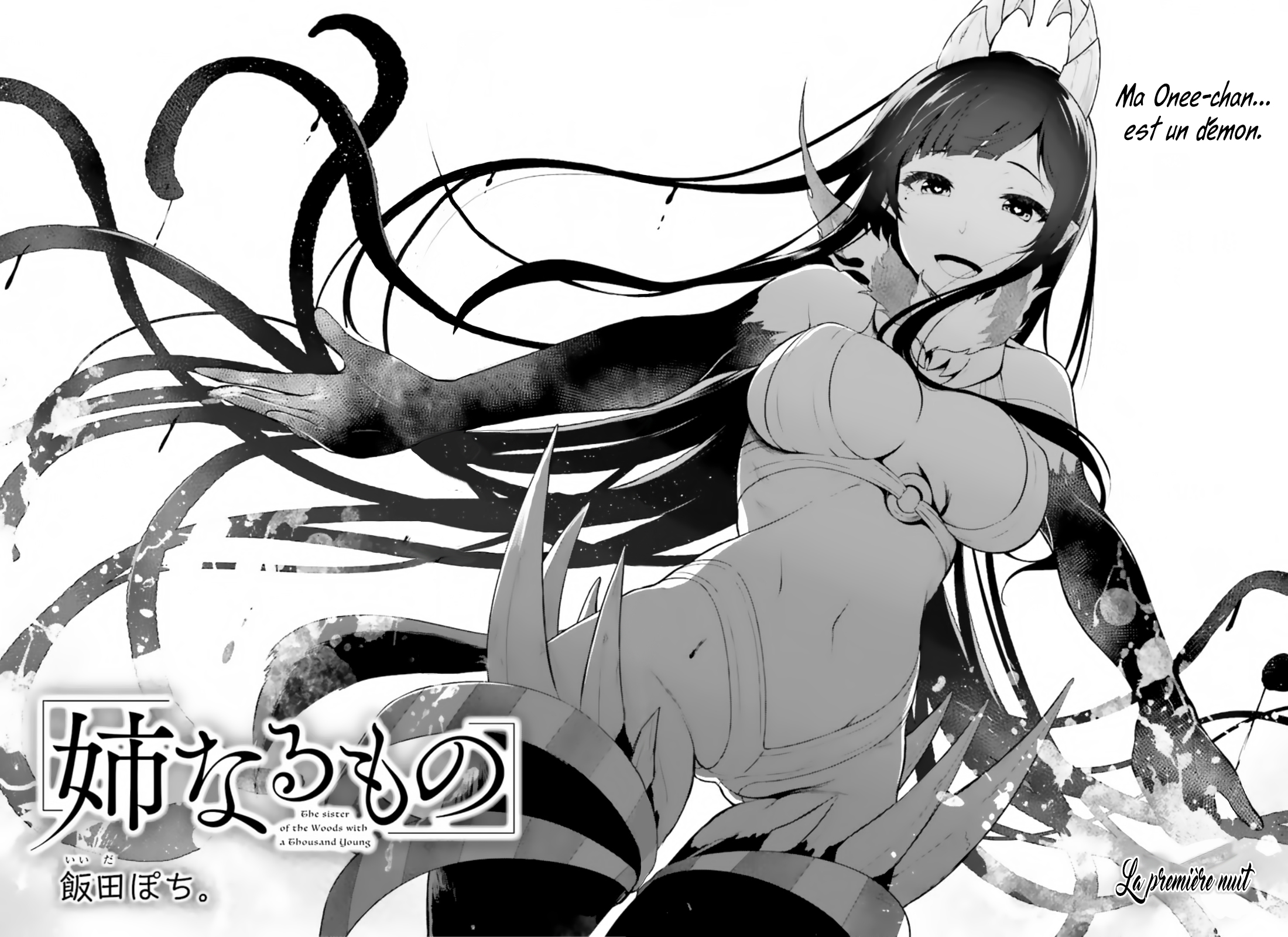 Read Ane Naru Mono FR Manga Online