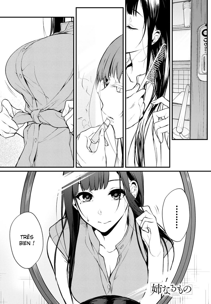 Read Ane Naru Mono FR Manga Online
