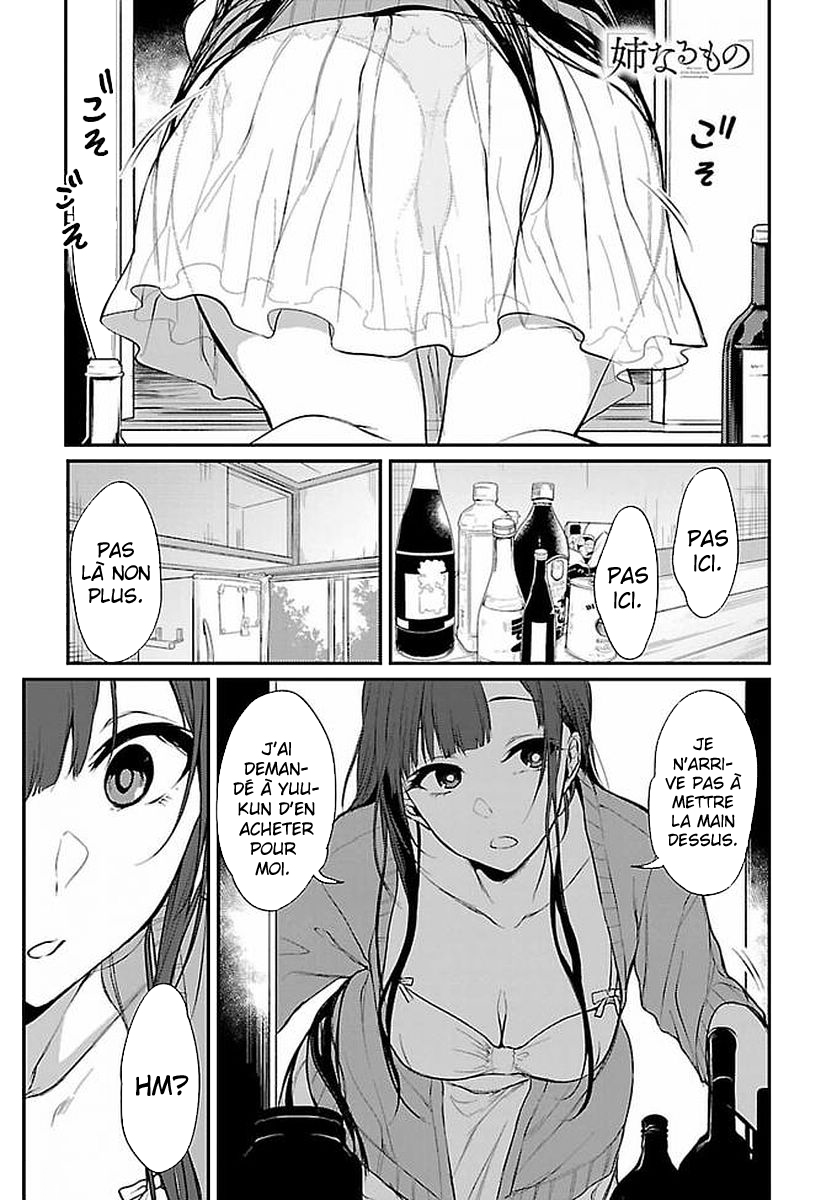 Read Ane Naru Mono FR Manga Online