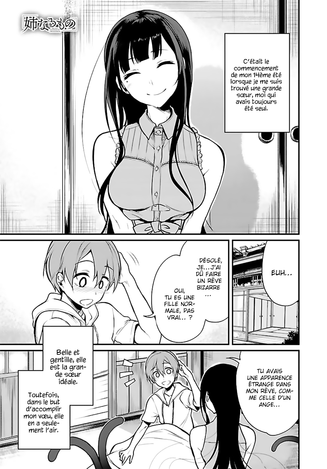 Read Ane Naru Mono FR Manga Online