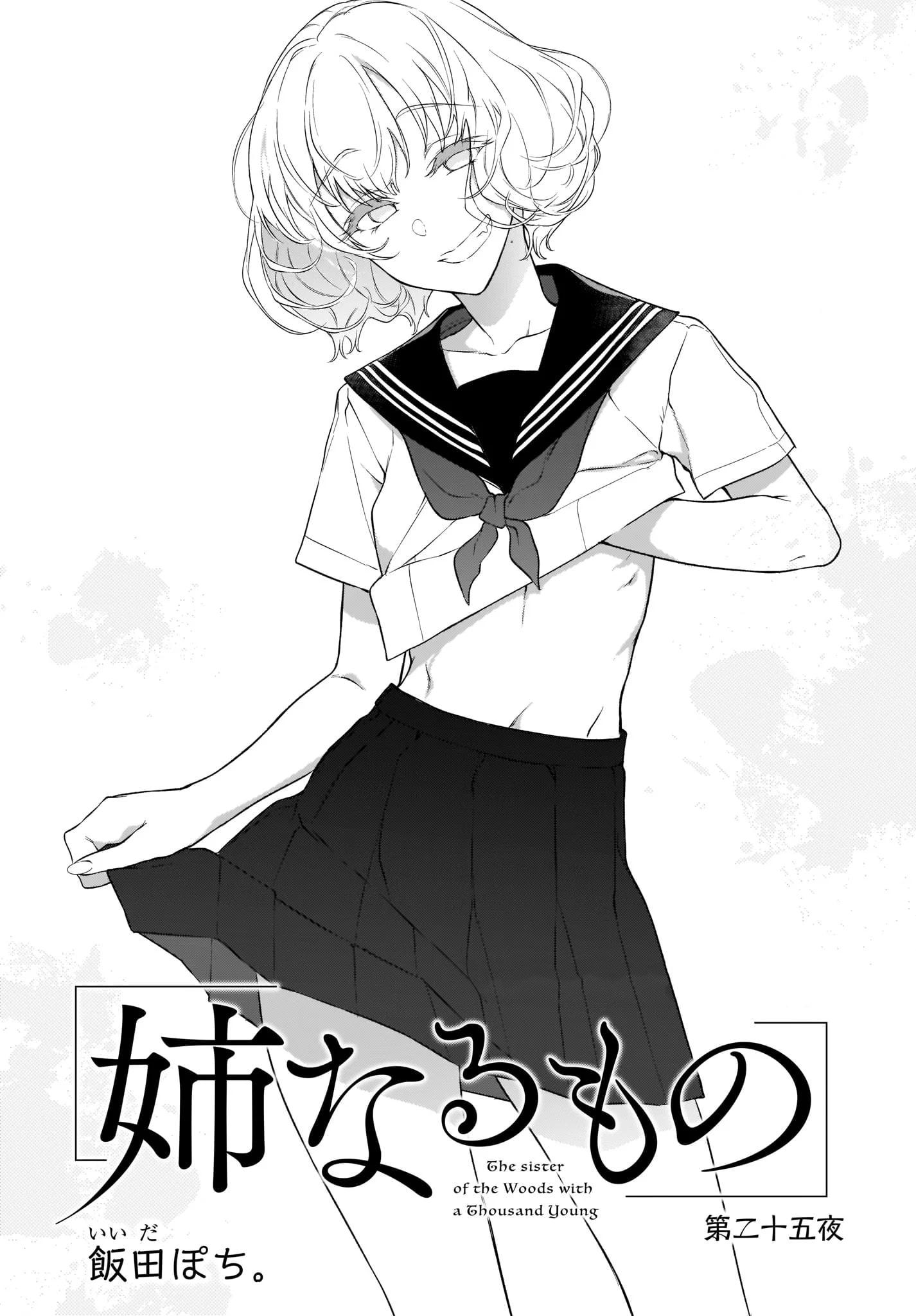 Read Ane Naru Mono FR Manga Online