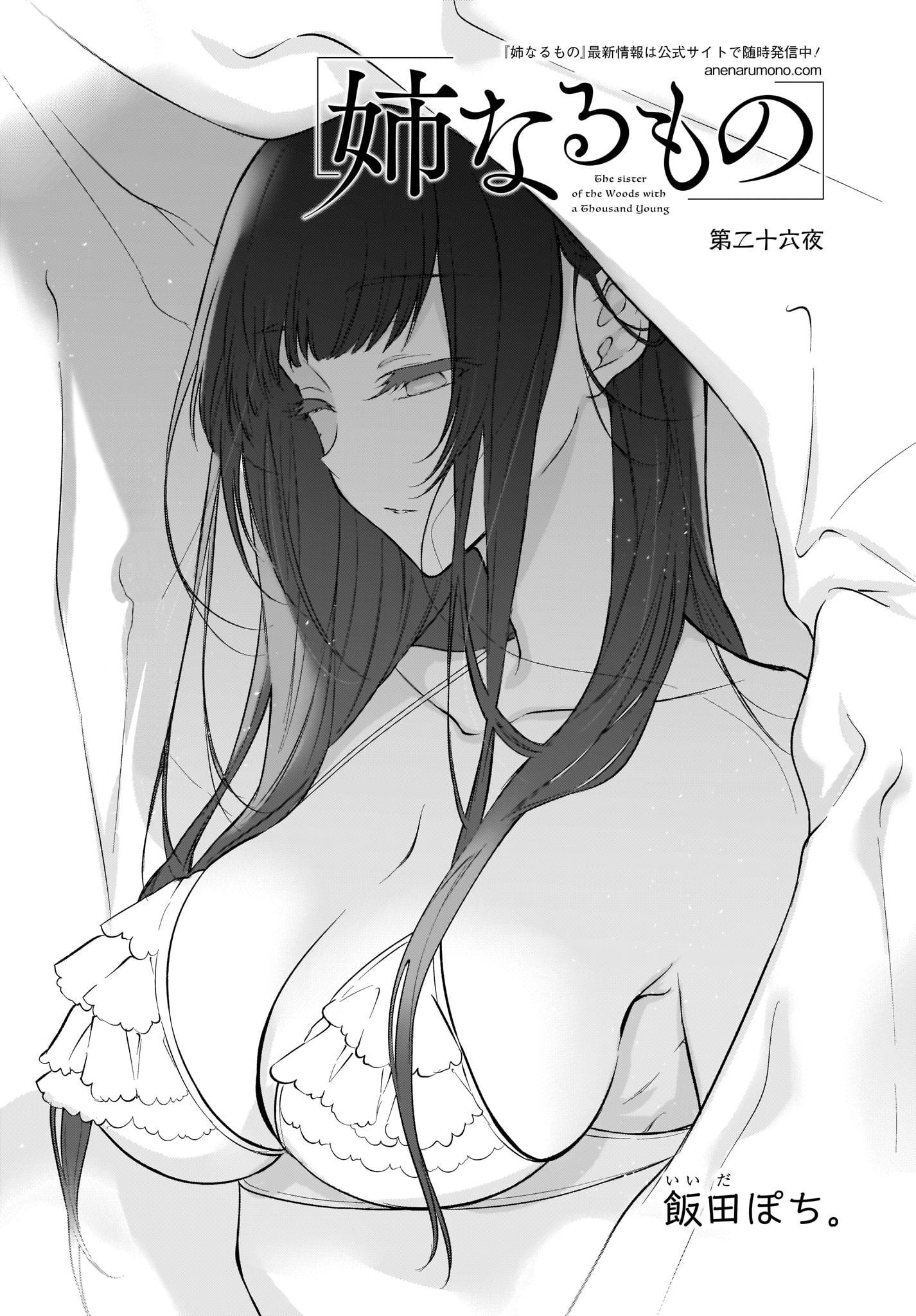 Read Ane Naru Mono FR Manga Online