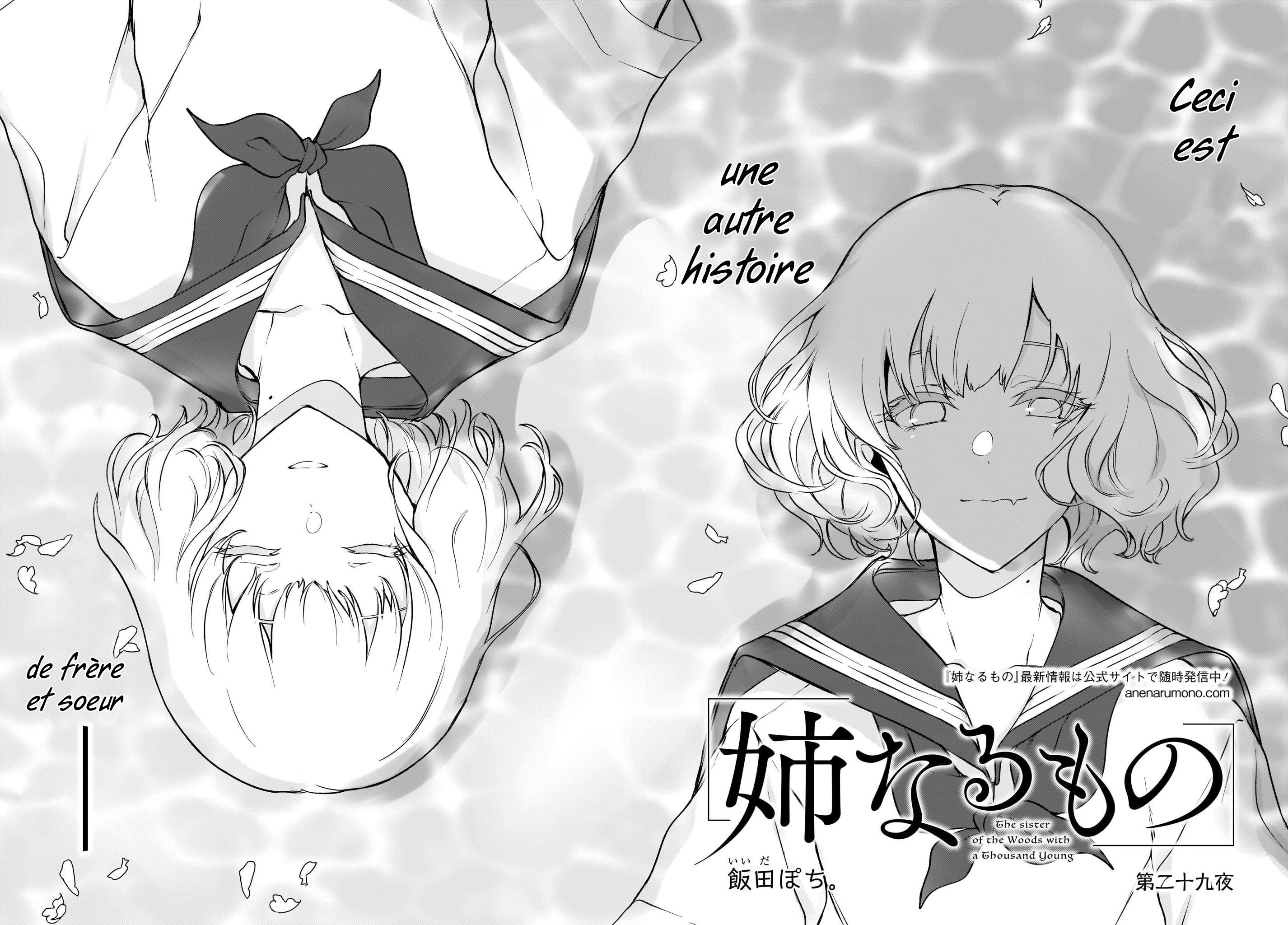 Read Ane Naru Mono FR Manga Online