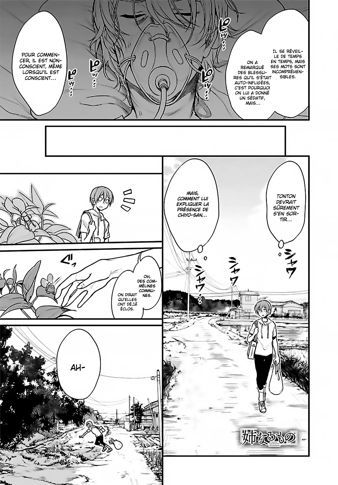 Read Ane Naru Mono FR Manga Online