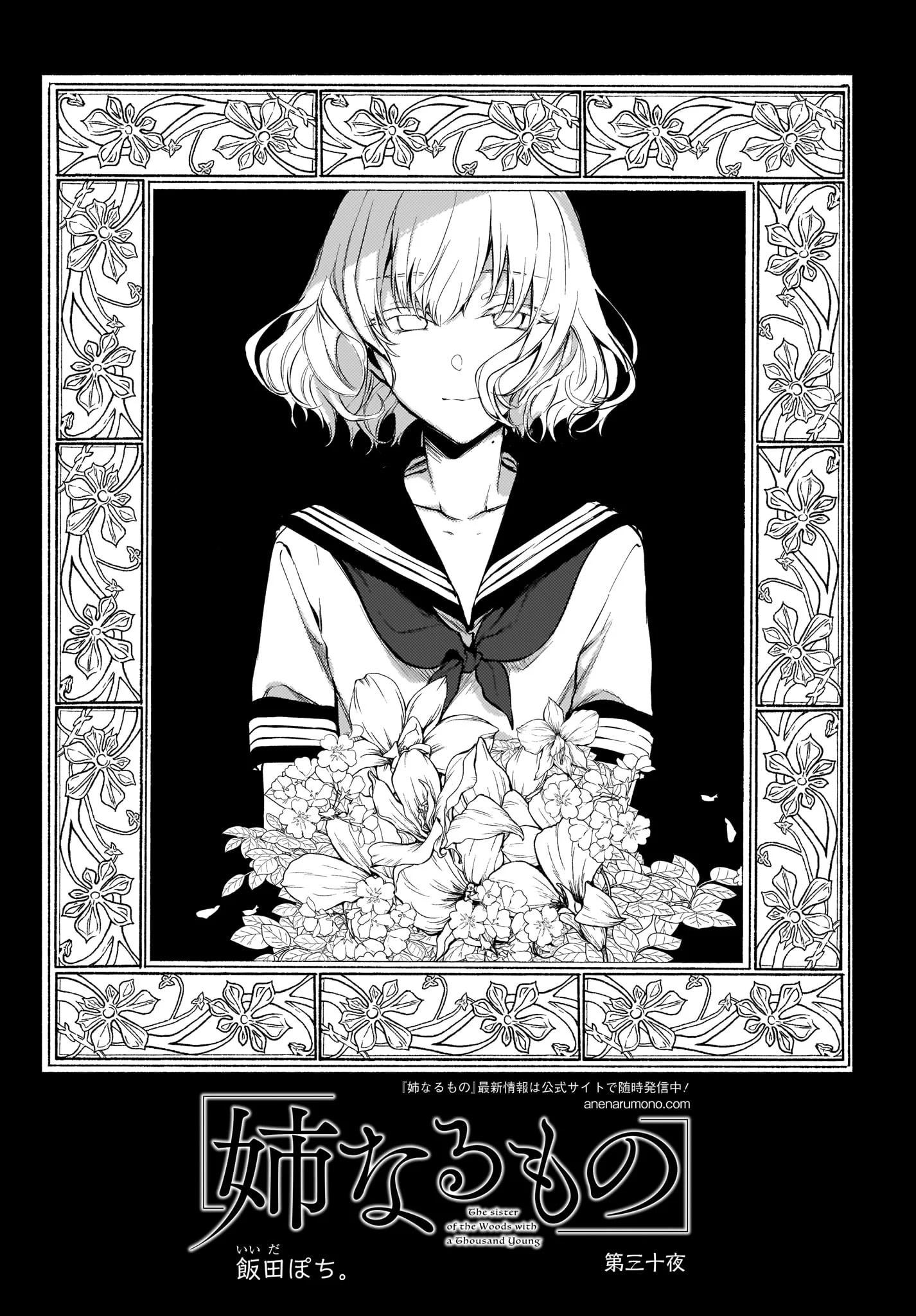 Read Ane Naru Mono FR Manga Online