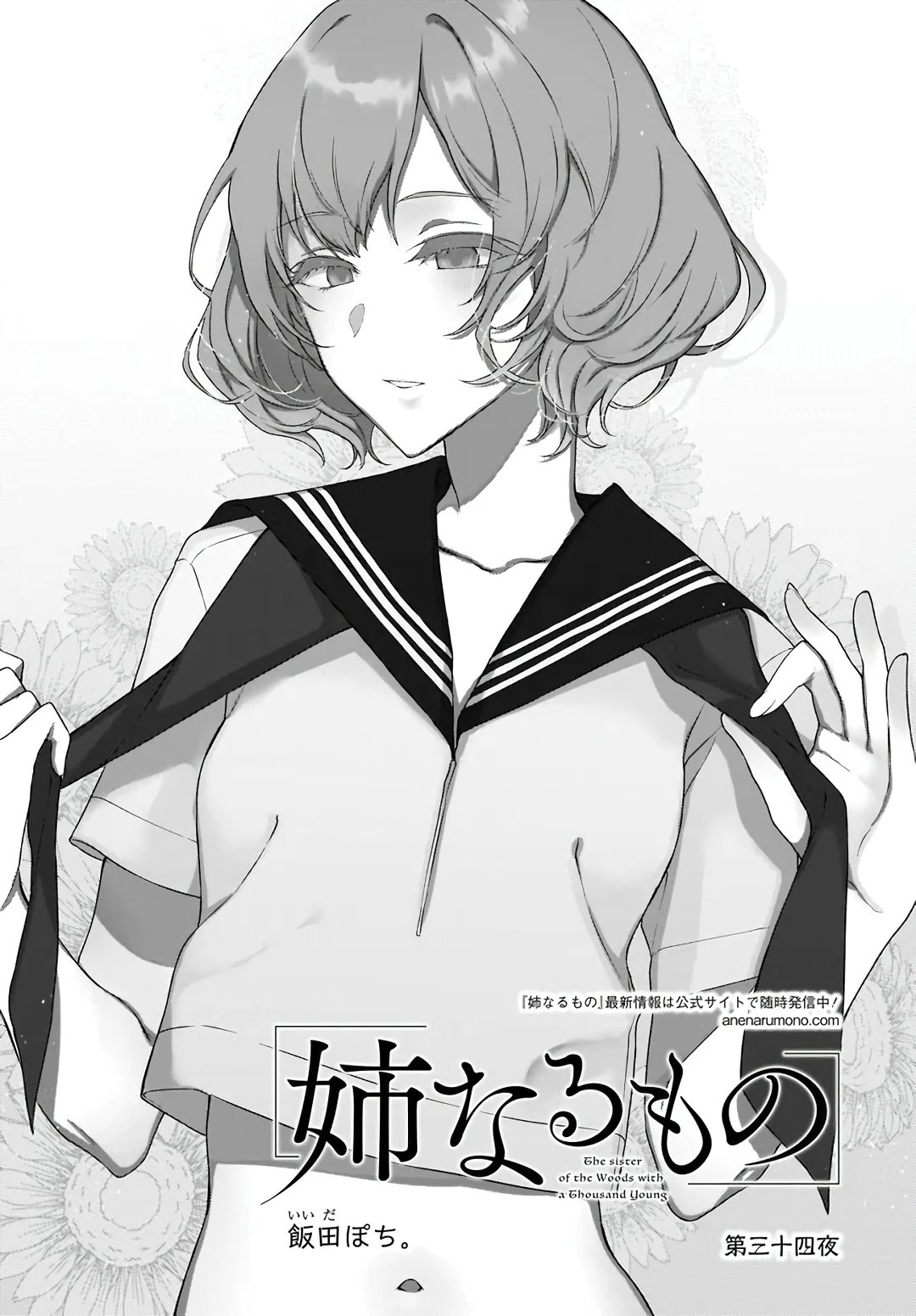 Read Ane Naru Mono FR Manga Online