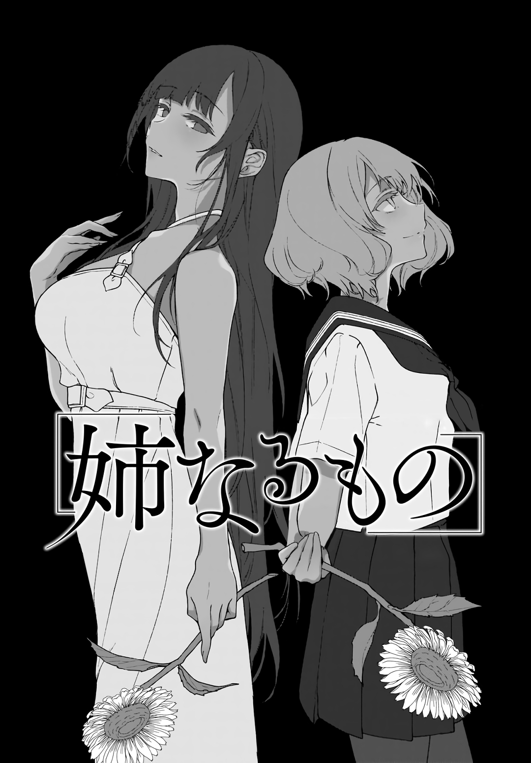 Read Ane Naru Mono FR Manga Online