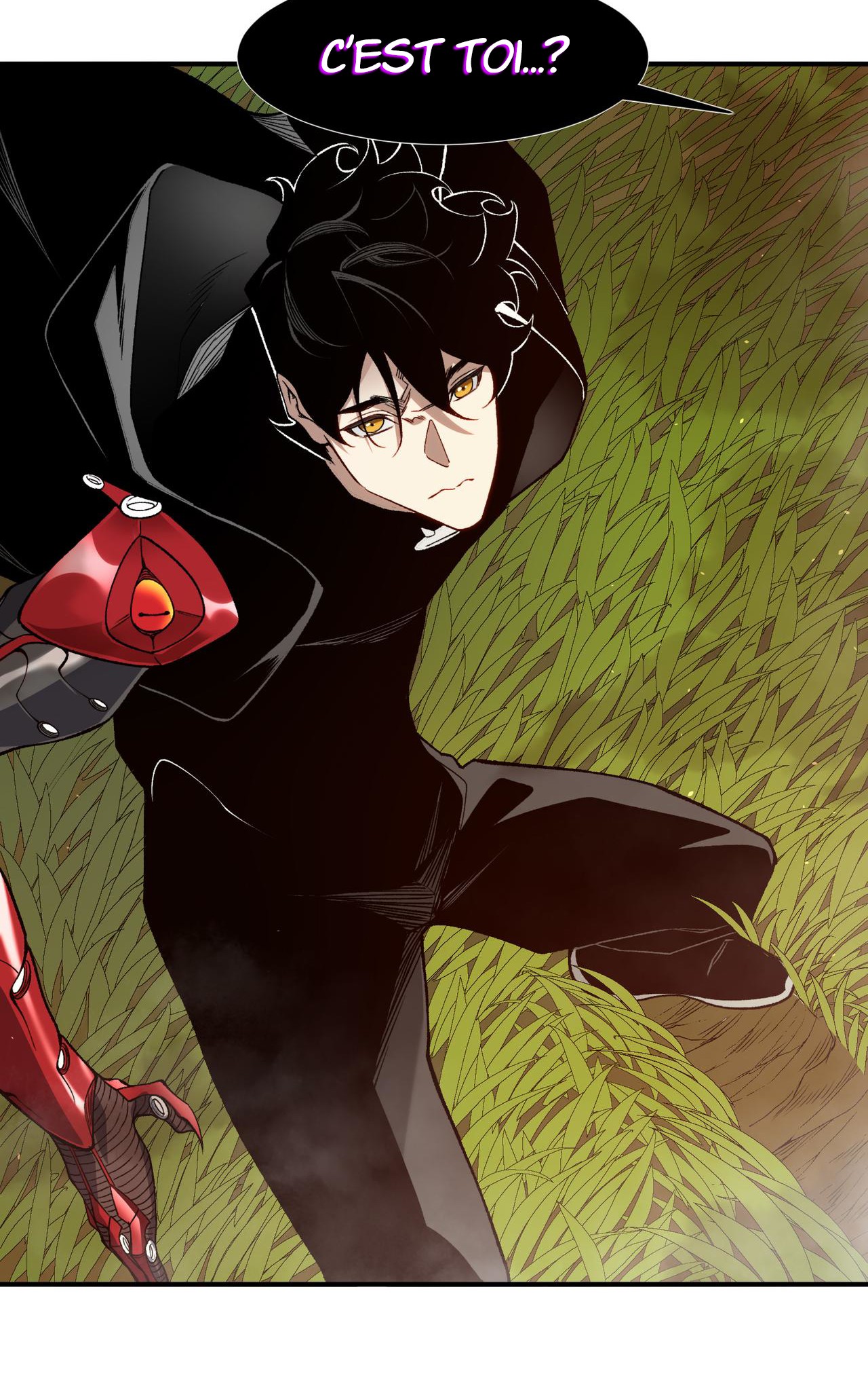 Read Demon Evolution FR Manga Online