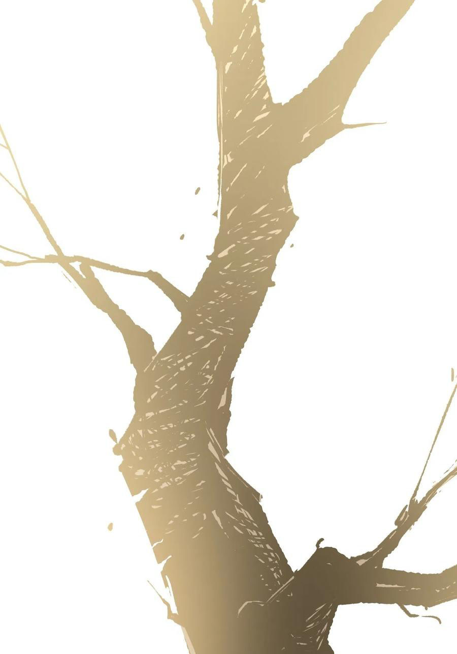 Read Dragon Chef FR Manga Online