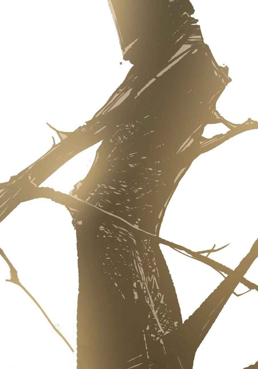 Read Dragon Chef FR Manga Online