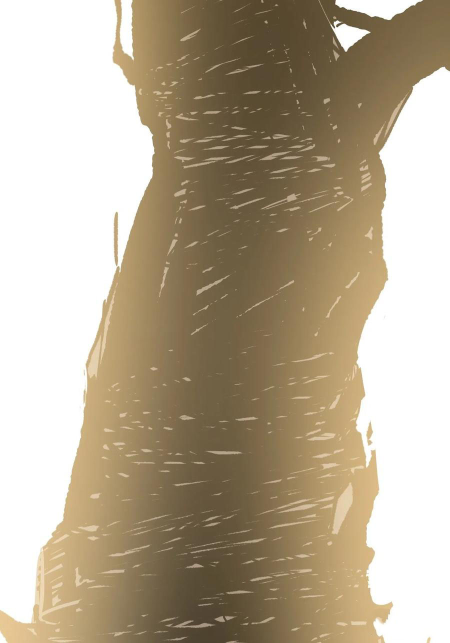 Read Dragon Chef FR Manga Online