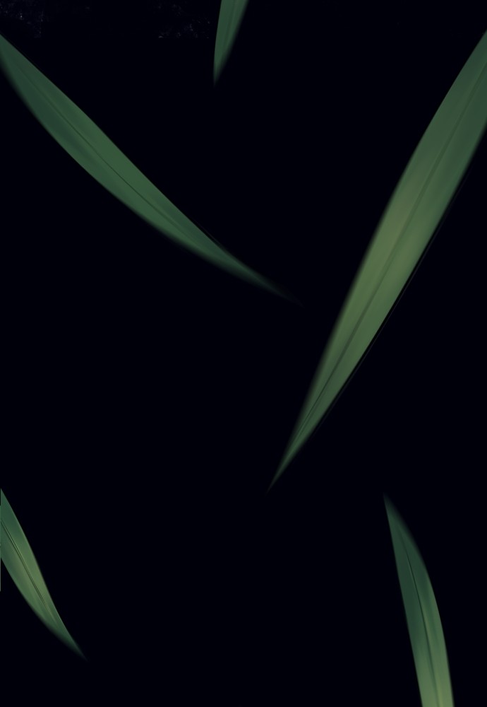 Read Killer Reborn FR Manga Online